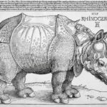 Xilogravura representando o rinoceronte do rei D. Manuel I chamada “Rinoceronte de Dürer”, feita pelo artista alemão Albrecht Dürer.