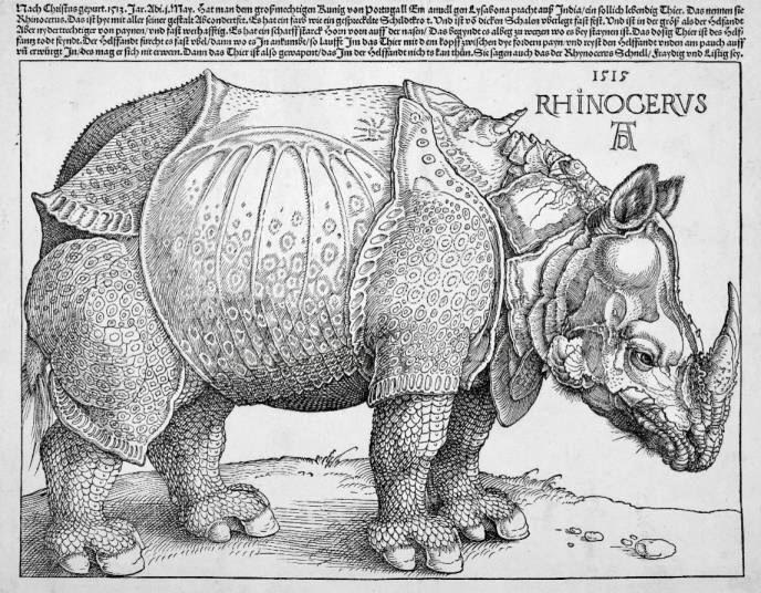 Xilogravura representando o rinoceronte do rei D. Manuel I chamada “Rinoceronte de Dürer”, feita pelo artista alemão Albrecht Dürer.