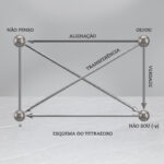 2 SEMESTRE - Seminário de Orientação Lacaniana-01
