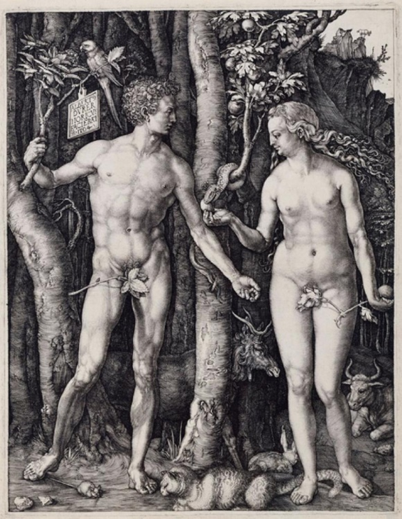 Adão e Eva, Albrecht Durer, 1504, Rijksmuseum (Amsterdam, Netherlands)